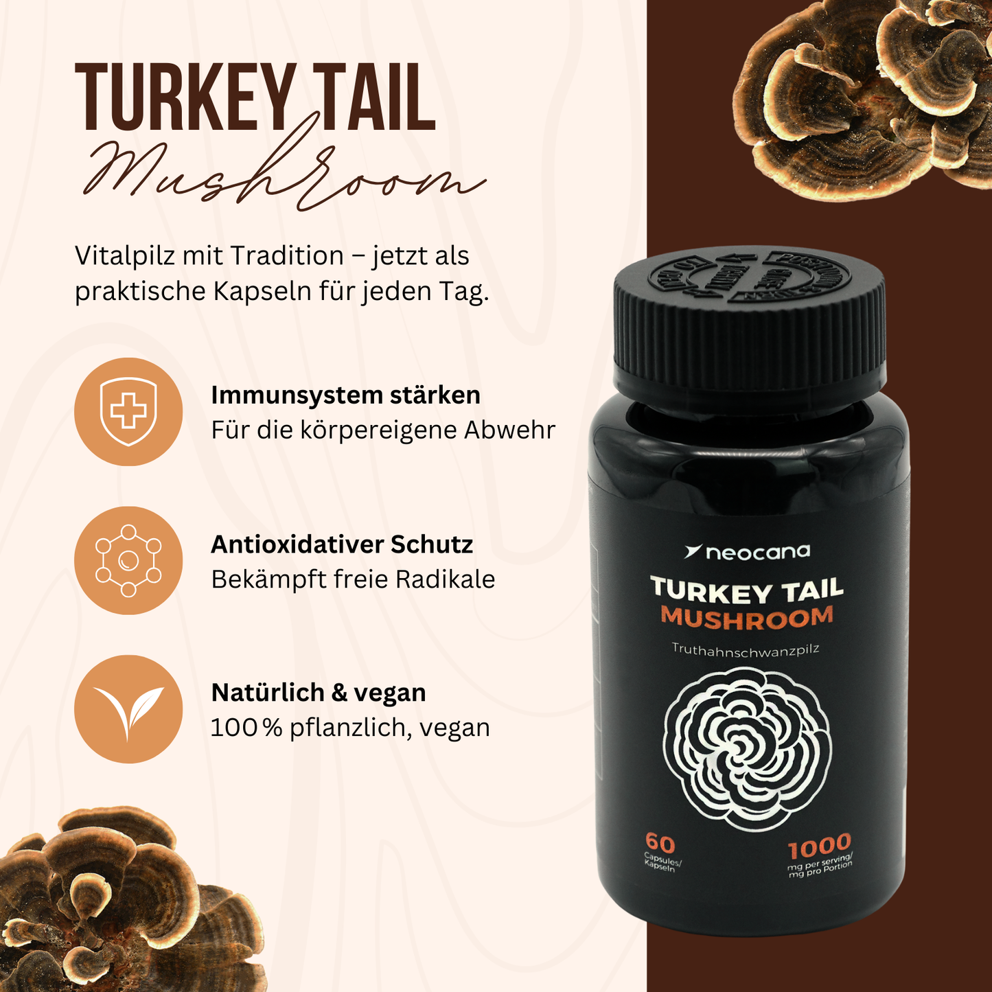 Vitalpilz mit Tradition
