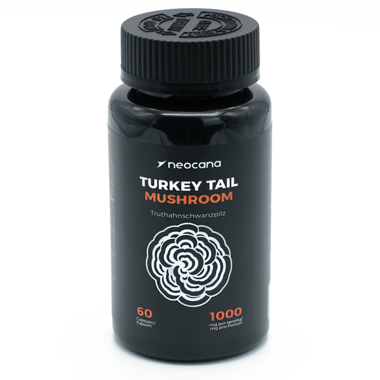 Dose mit 60 Turkey Tail Pilz Kapseln – Nahrungsergänzung zur Immunstärkung