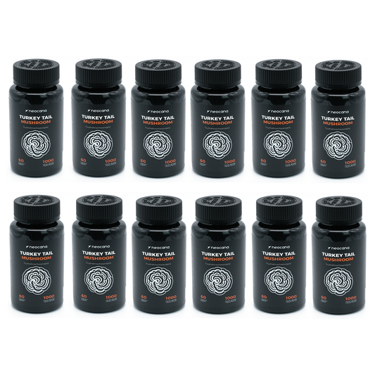 Jahresvorrat Turkey Tail Pilz Kapseln – 12 Dosen für langfristige Anwendung