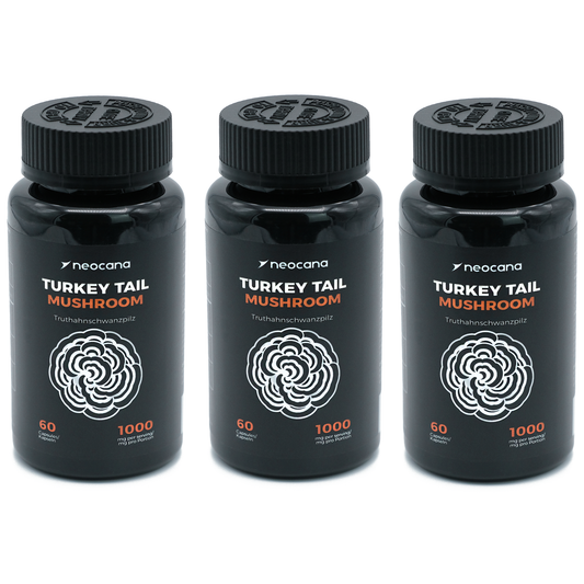 3er-Pack Turkey Tail Pilz Kapseln – Vorteilspackung mit hochdosiertem Extrakt