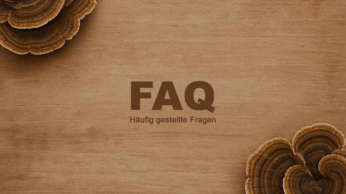 Häufige Fragen (FAQ)