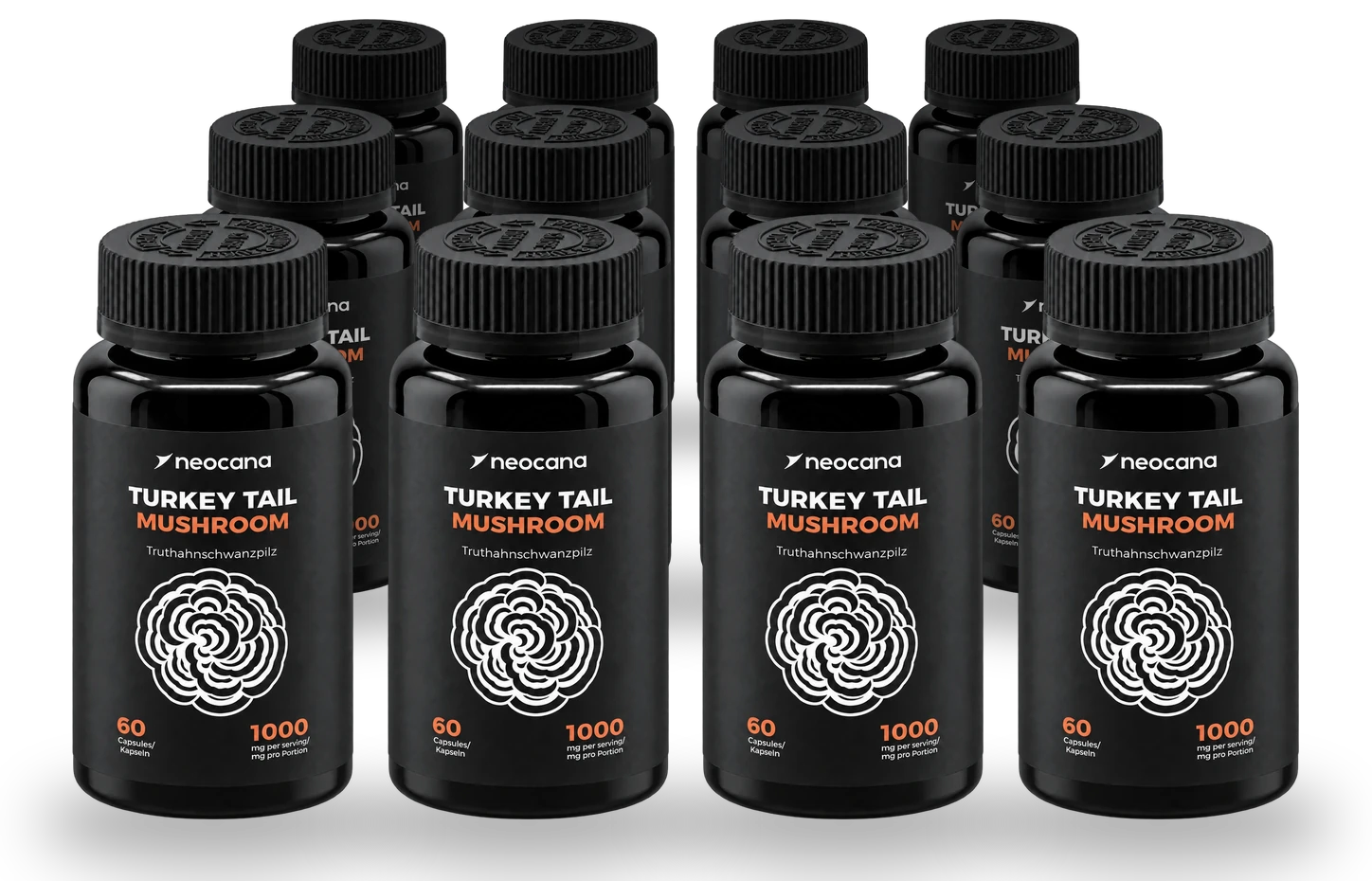 12er Pack Turkey Tail Pilz Kapseln 60Stück Truthahnschwanzpilz Extrakt Trametes Versicolor - Jahresration